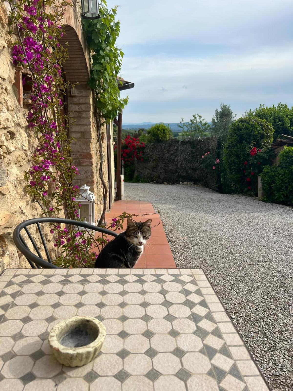 Antico Casolare Villa San Gimignano Exterior foto