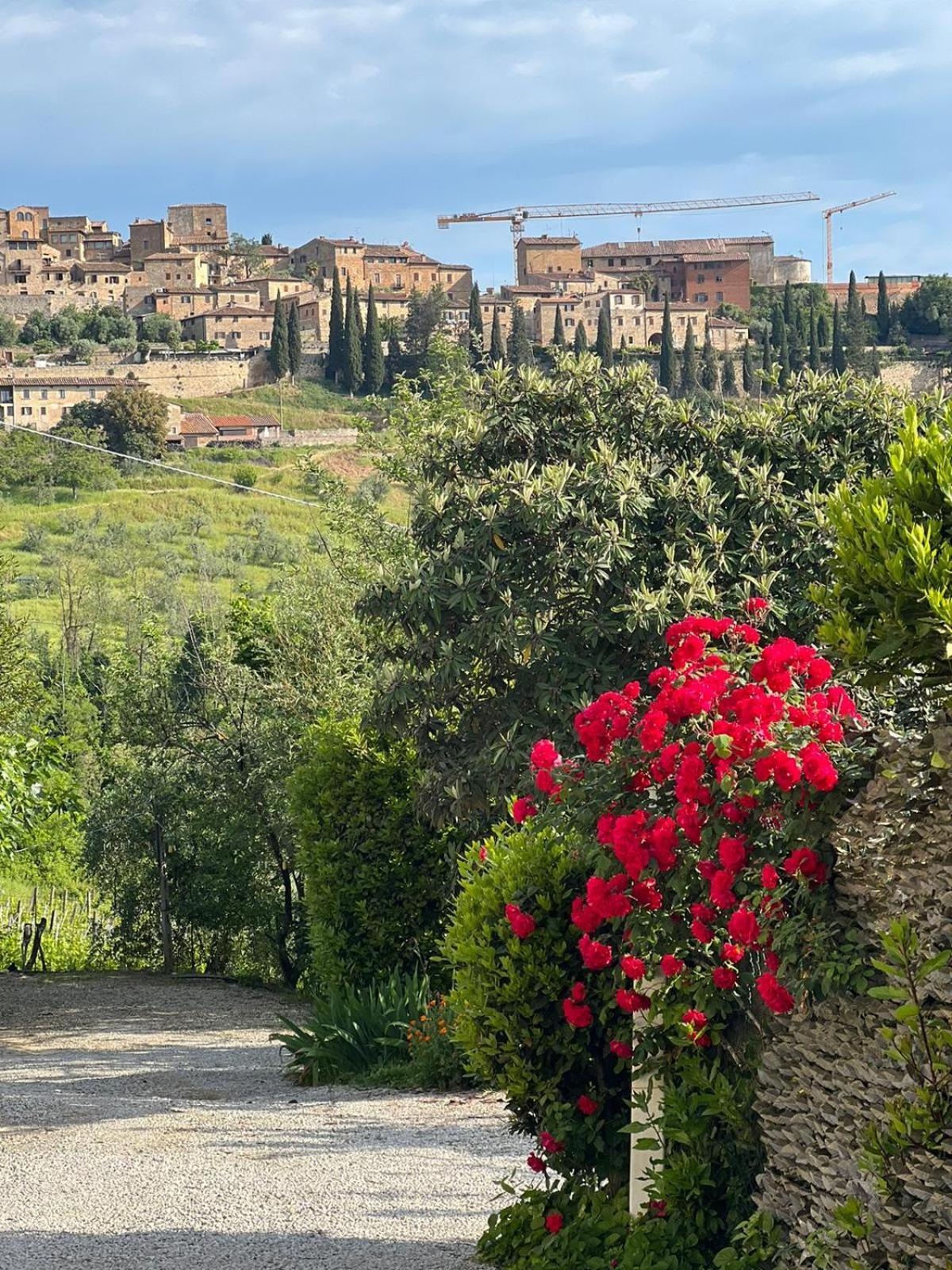 Antico Casolare Villa San Gimignano Exterior foto