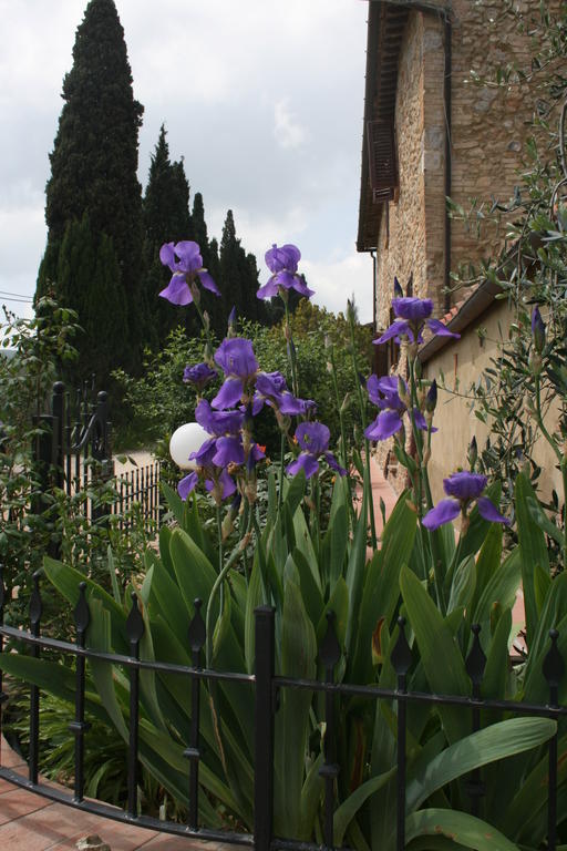 Antico Casolare Villa San Gimignano Exterior foto